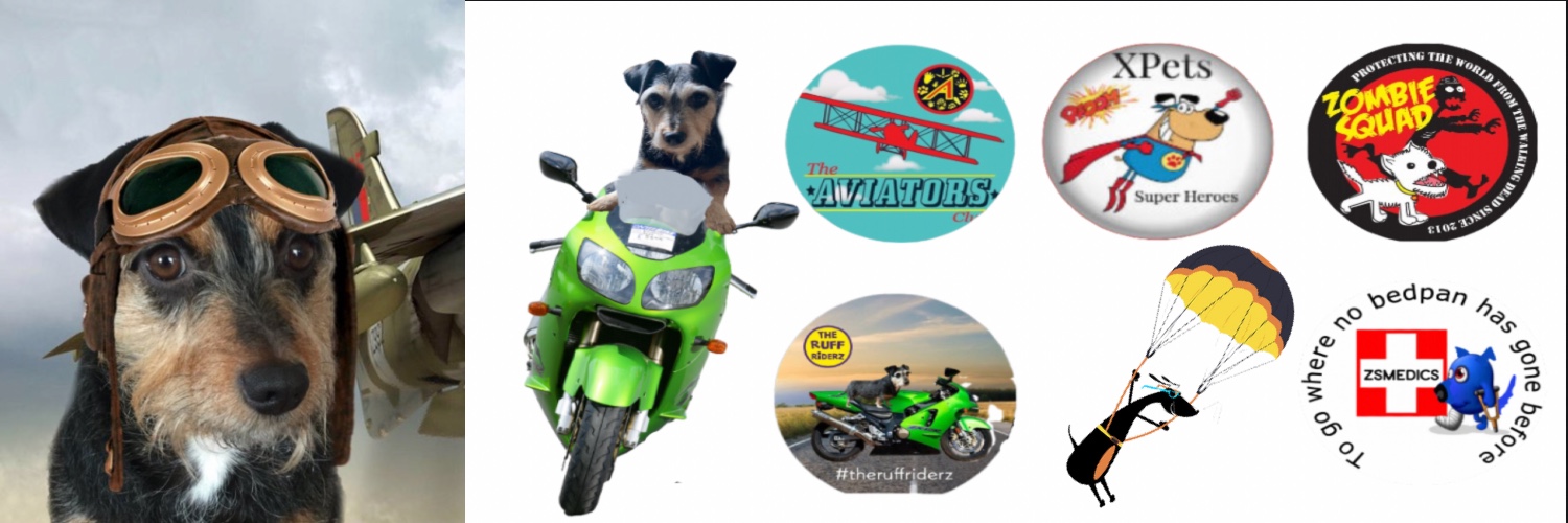 TiddyDora's profile banner image