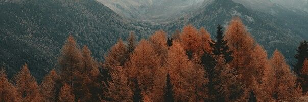 vrednaya_devka's profile banner image