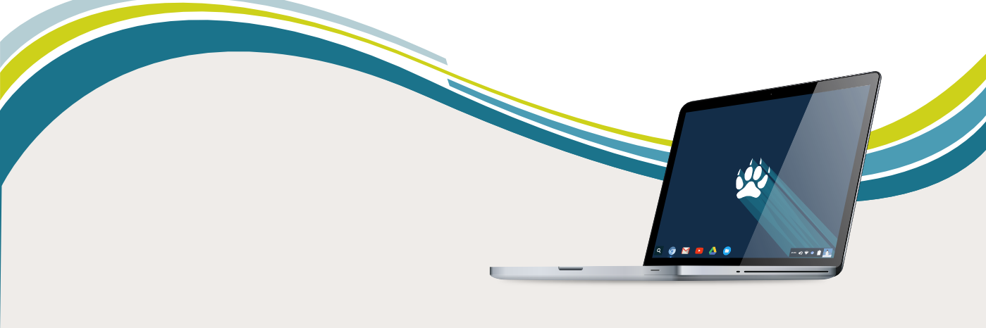 CubLinux's profile banner image