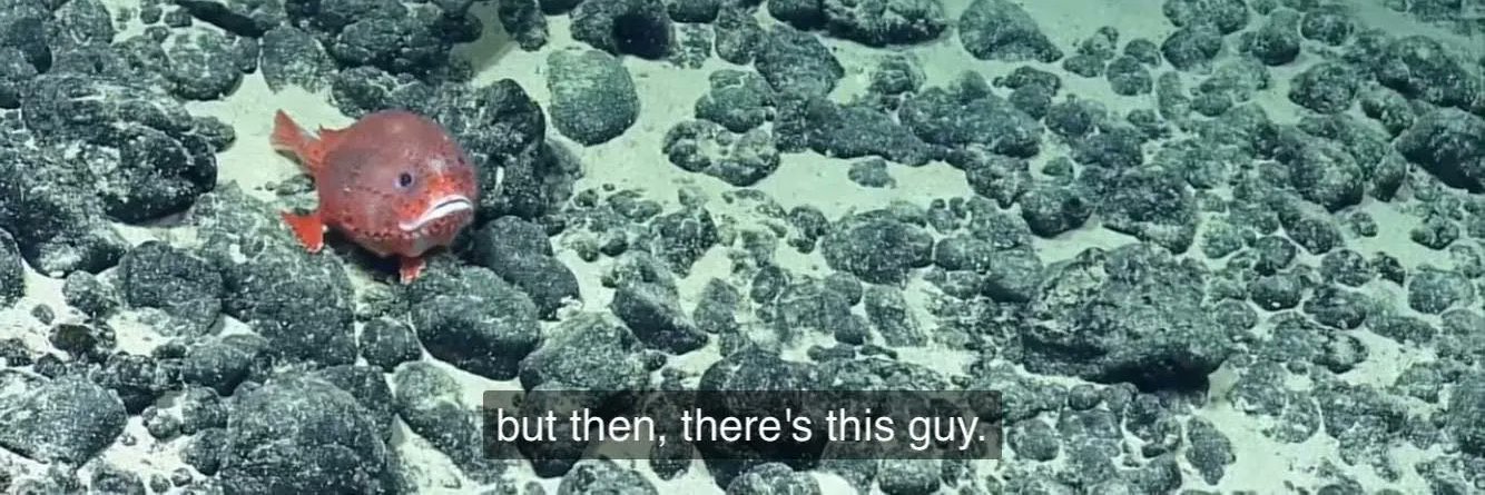 lil jon lovitz(?) banner