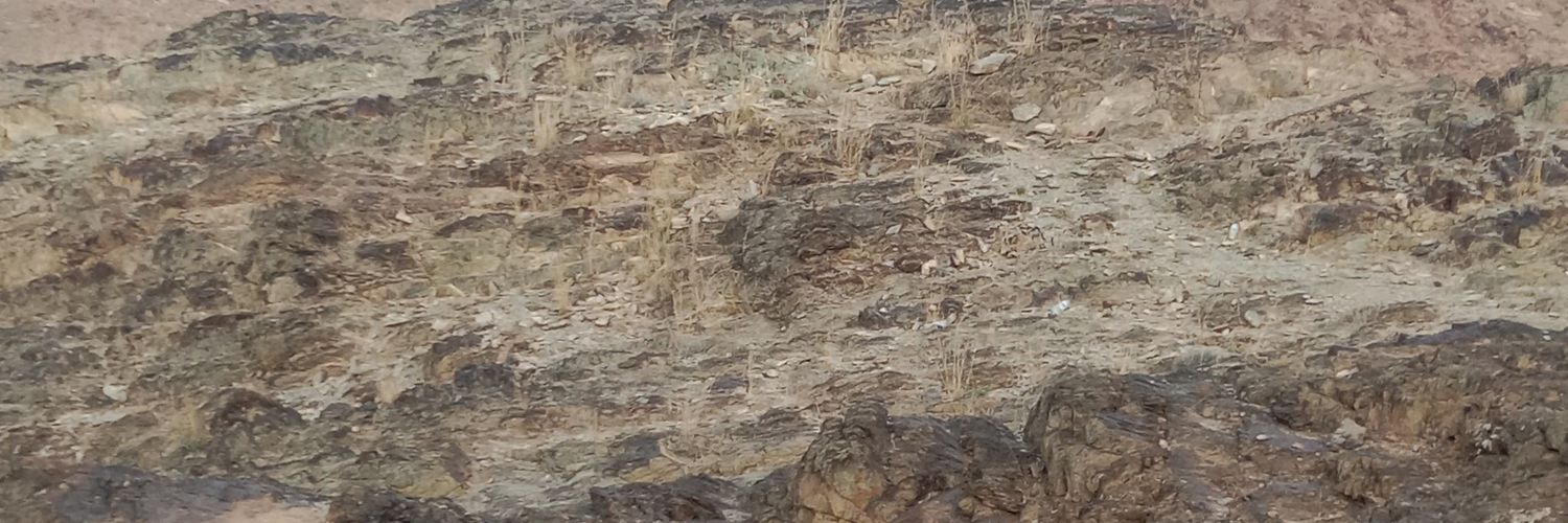 abdullllah1117's profile banner image