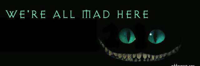 BerlayCat banner