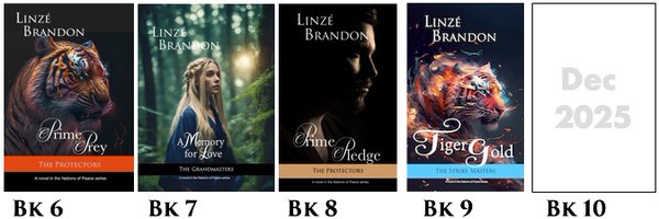 LinzeBrandon Profile Banner