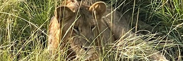 petersonpraise2 Profile Banner