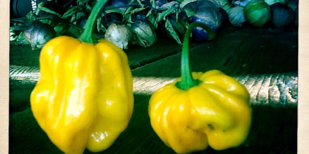 Familyfarmers's profile banner image