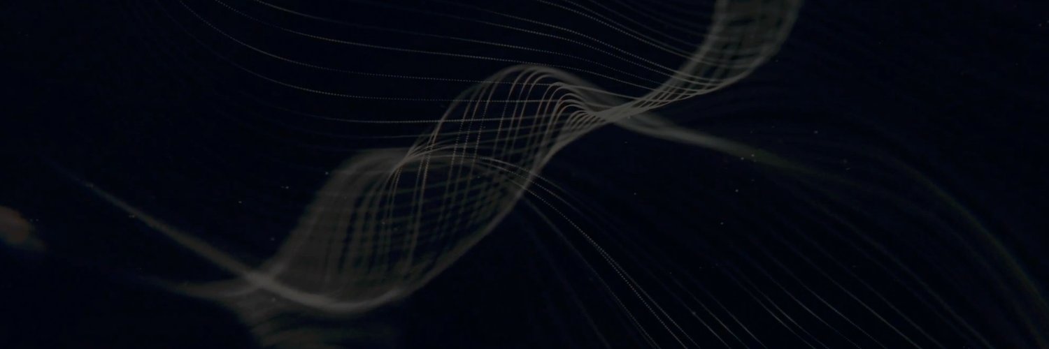 Exnetwork Capital banner