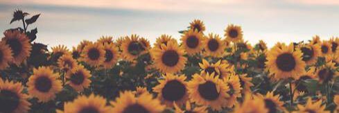 _bethany13's profile banner image
