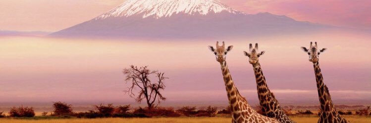 BassaMagali's profile banner image