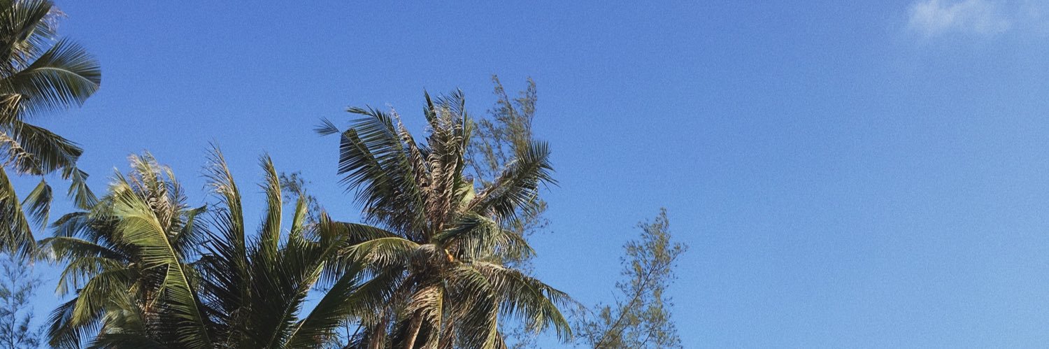 p209713's profile banner image