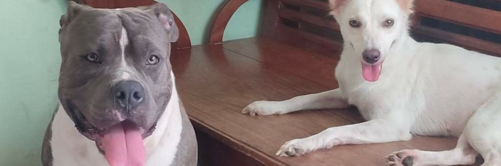 httpskayser's profile banner image