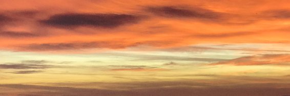iriniphoto's profile banner image