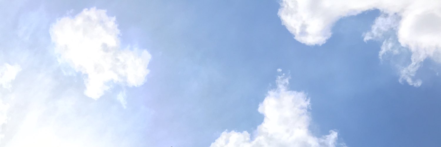 wfnannn_'s profile banner image