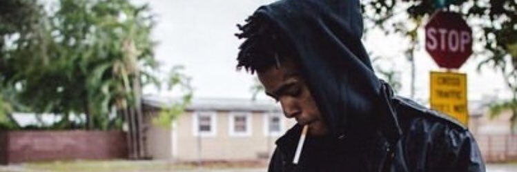 meloreann's profile banner image