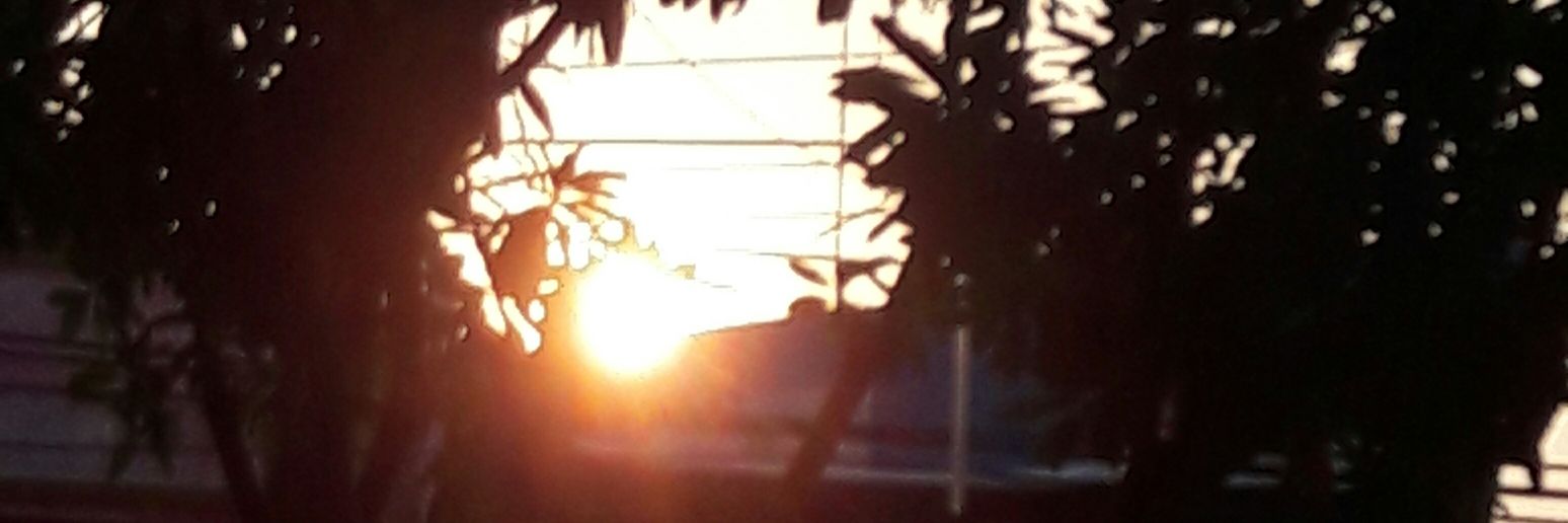 ucokpangi's profile banner image