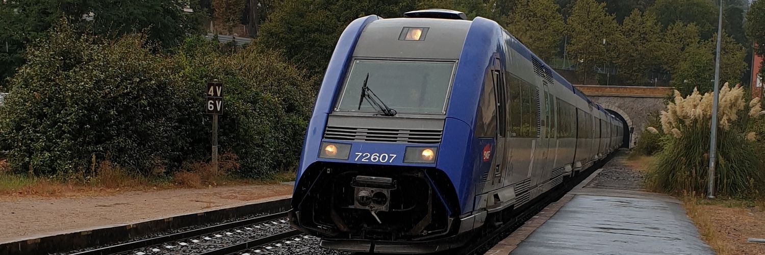 Noé banner