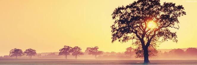 AB Chatterjee banner