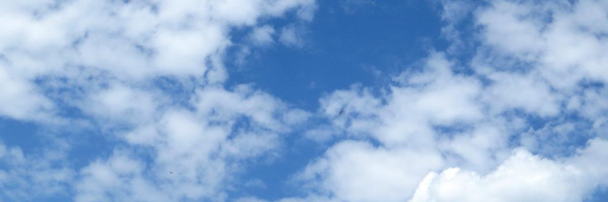 davidelochis's profile banner image