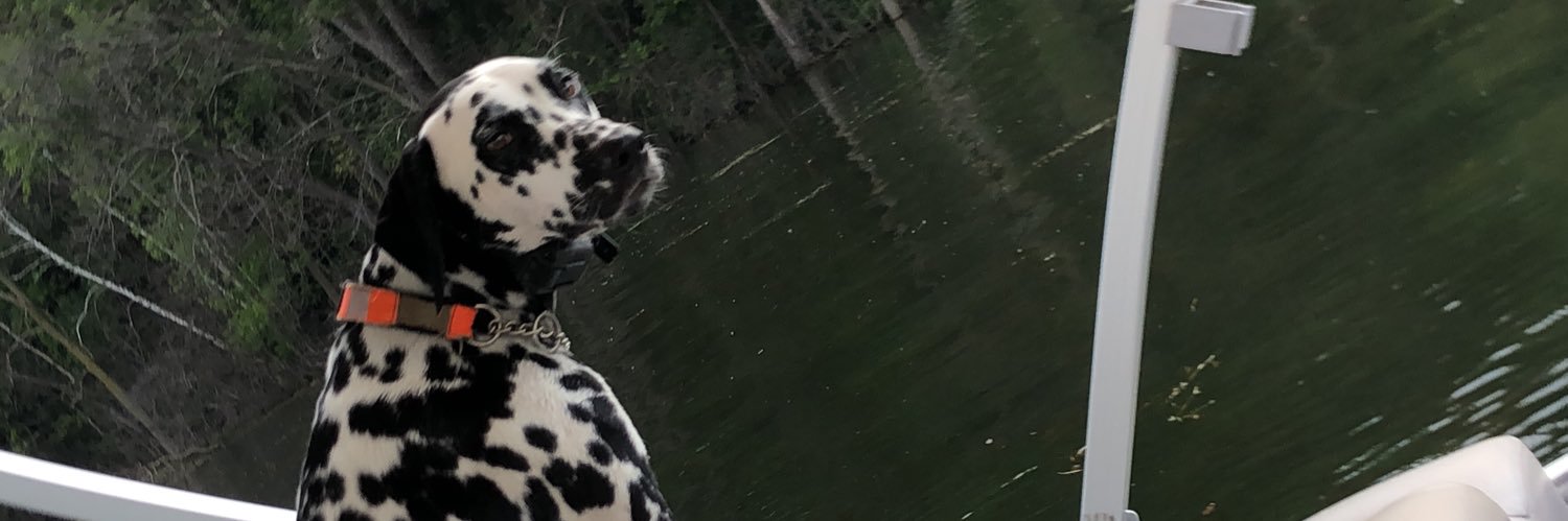 ndshow's profile banner image