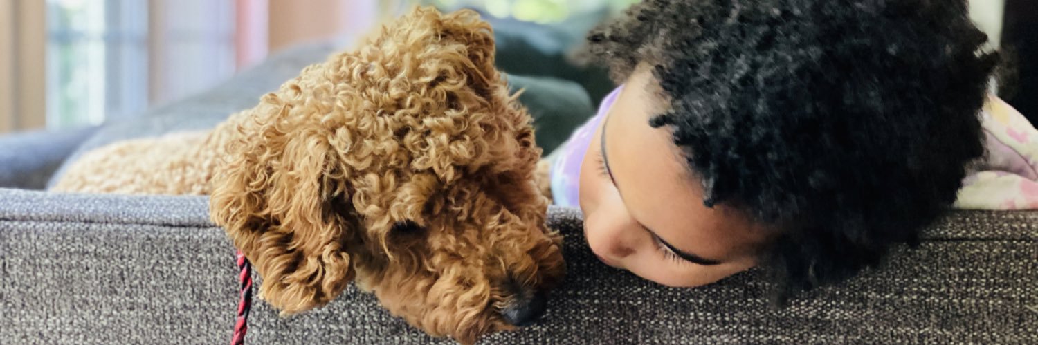 haleymbryant's profile banner image