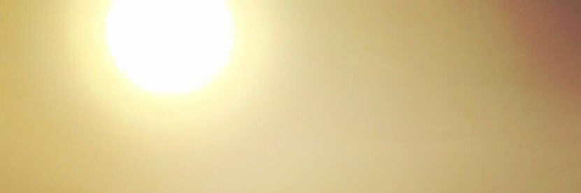 daniellelw123's profile banner image