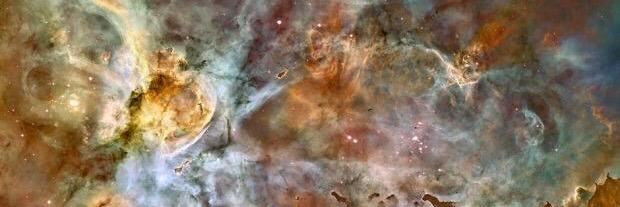 Adam Faulkner banner