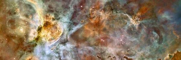 Faulkner Profile Banner