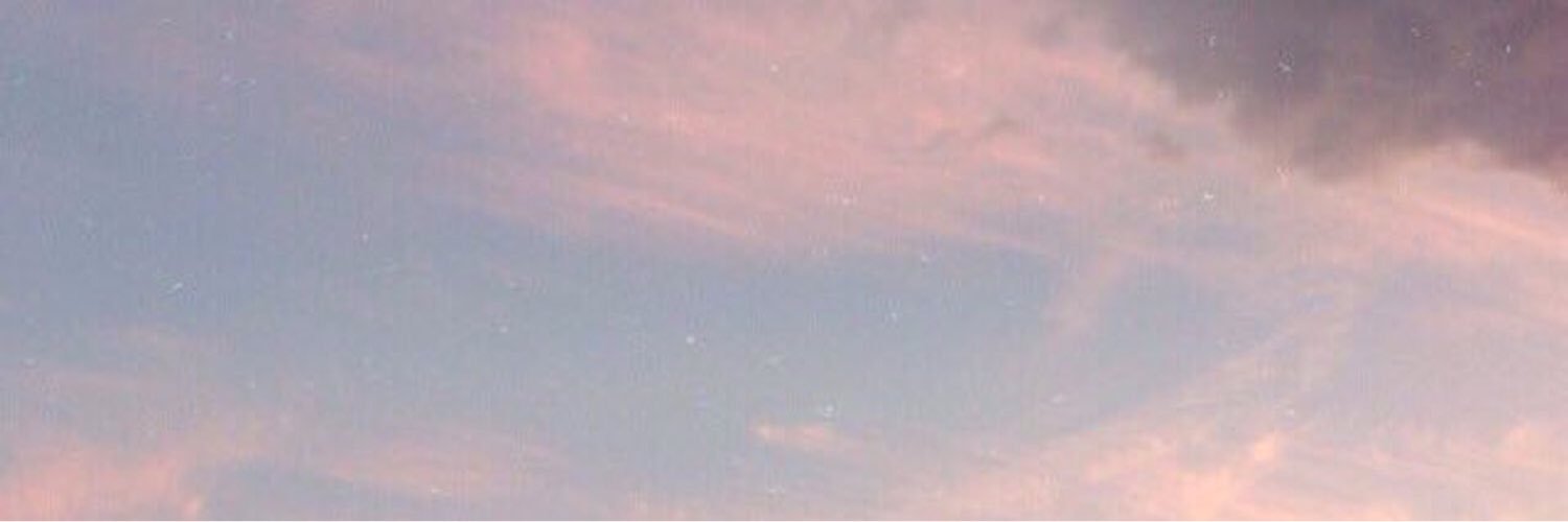 mclovingnarry's profile banner image
