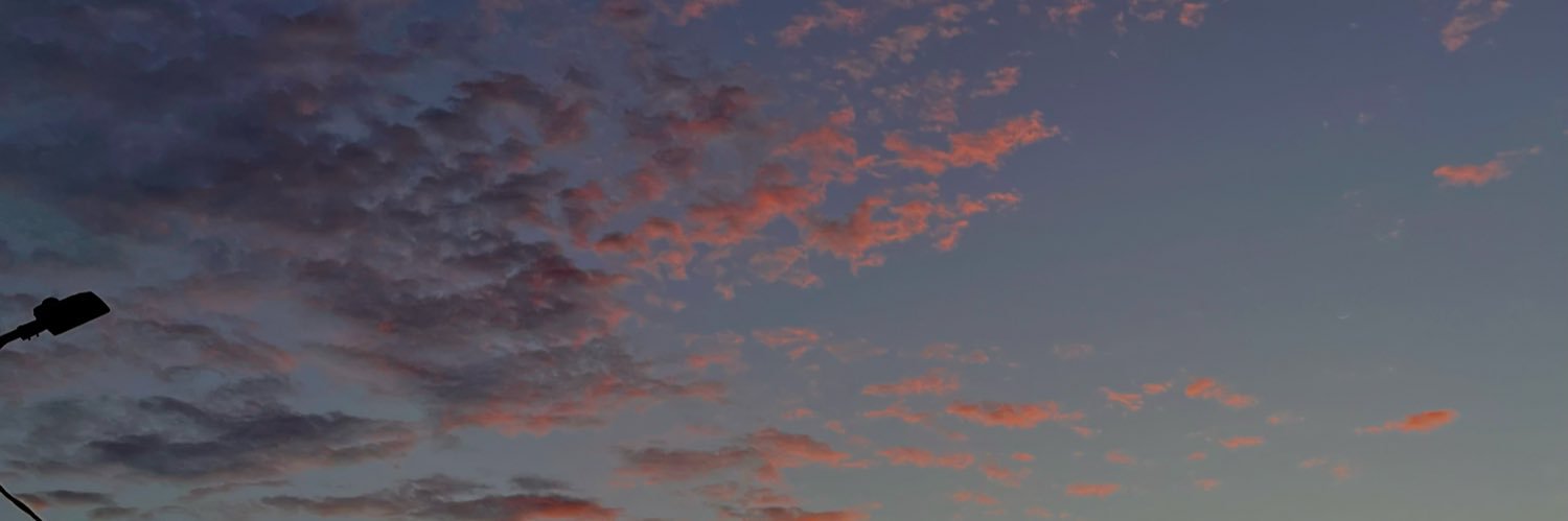 Silvamar04's profile banner image