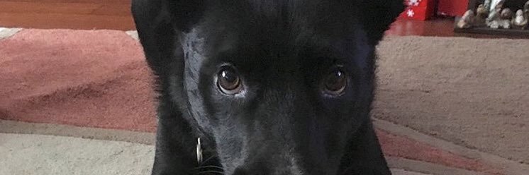 Mathyooou's profile banner image