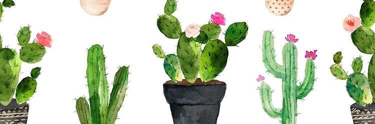 DestinyyMarie5's profile banner image