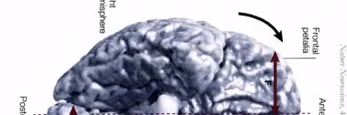 Dheeraj Khurana banner