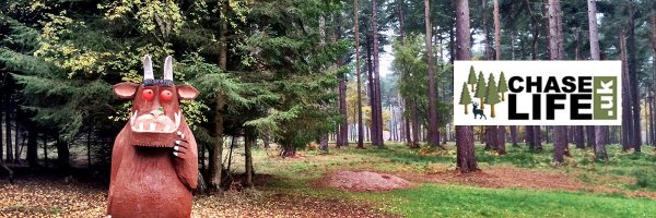 ChaseLifeUK Profile Banner