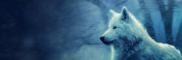 tris0x Profile Banner