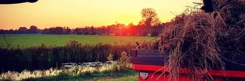 deHippeBoerin's profile banner image