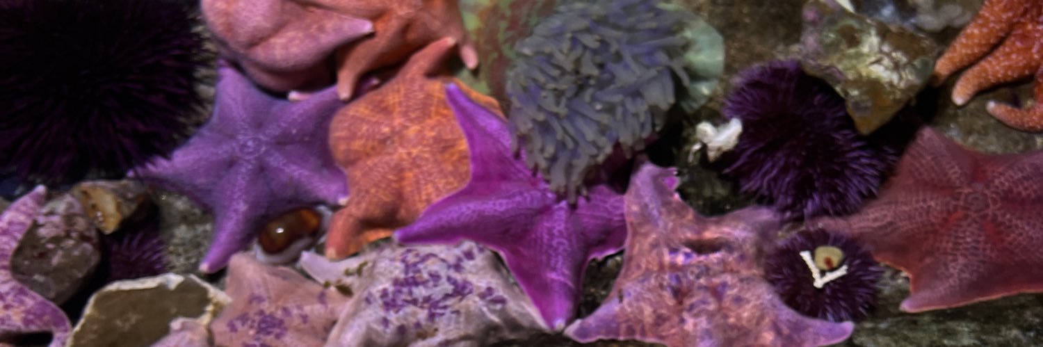 jstVictoriaa's profile banner image