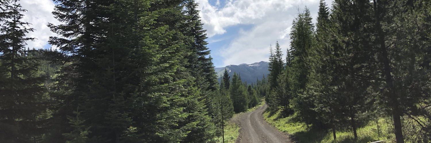 JamieMartenson's profile banner image