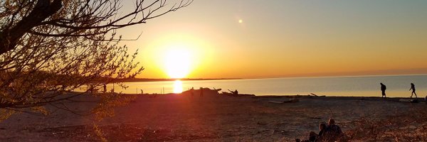 AndreaCoventry Profile Banner