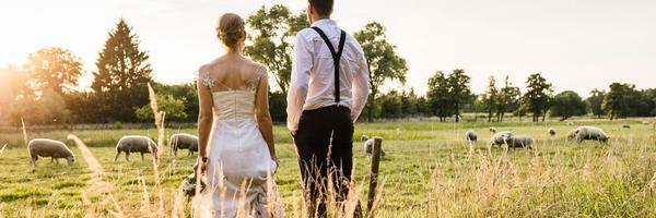 linsenscheu Profile Banner