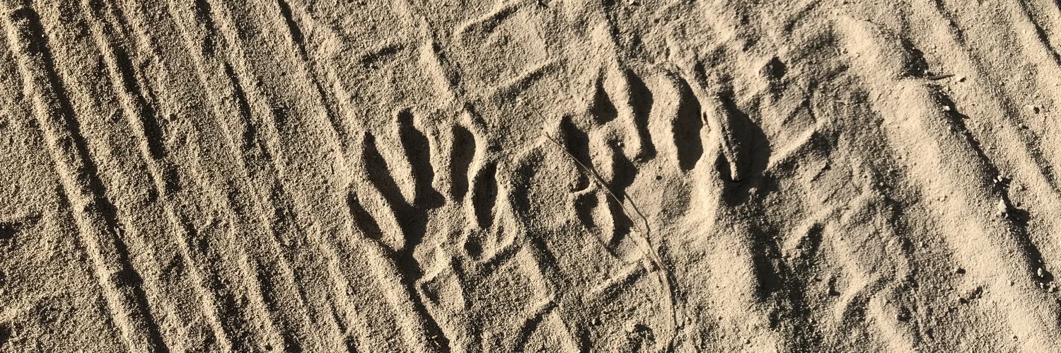 imitatio instrumentarium banner