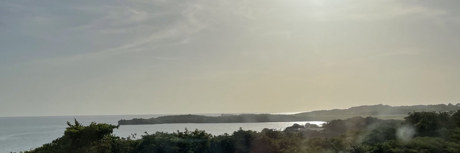 Robert Krbashyan banner