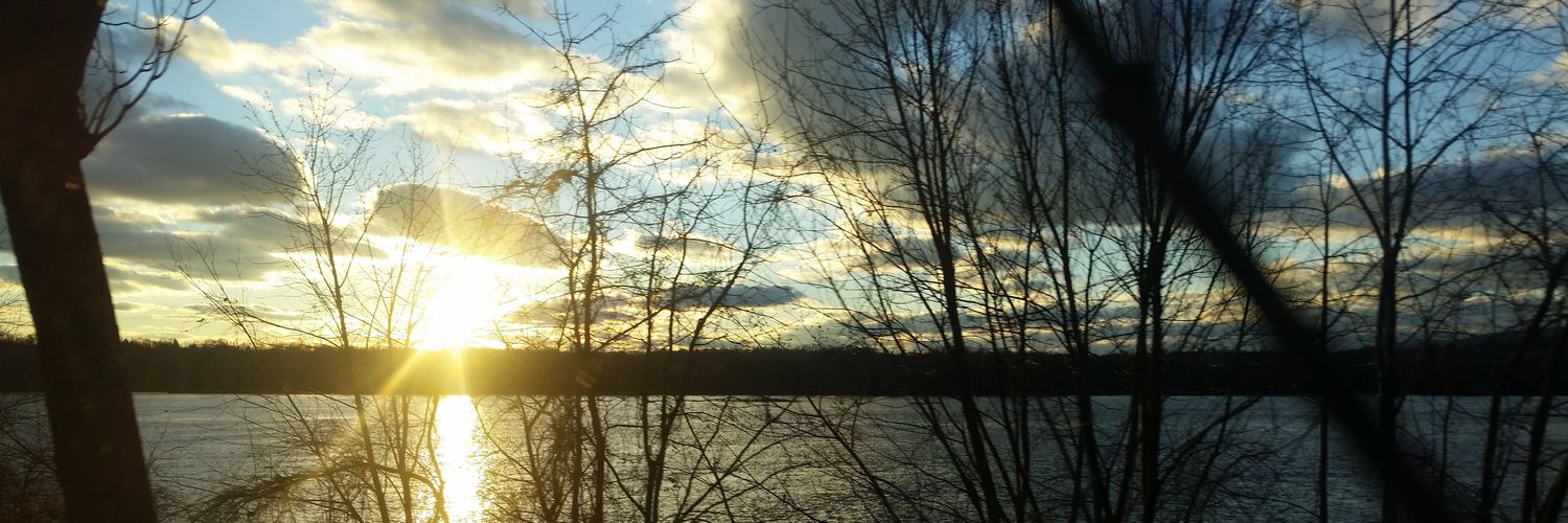 sadkatt69's profile banner image