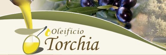 OlioTorchia's profile banner image