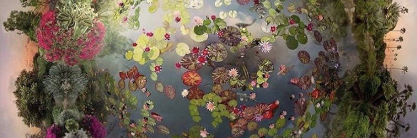 sourpuffcee's profile banner image