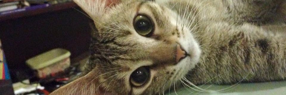 Marga__'s profile banner image