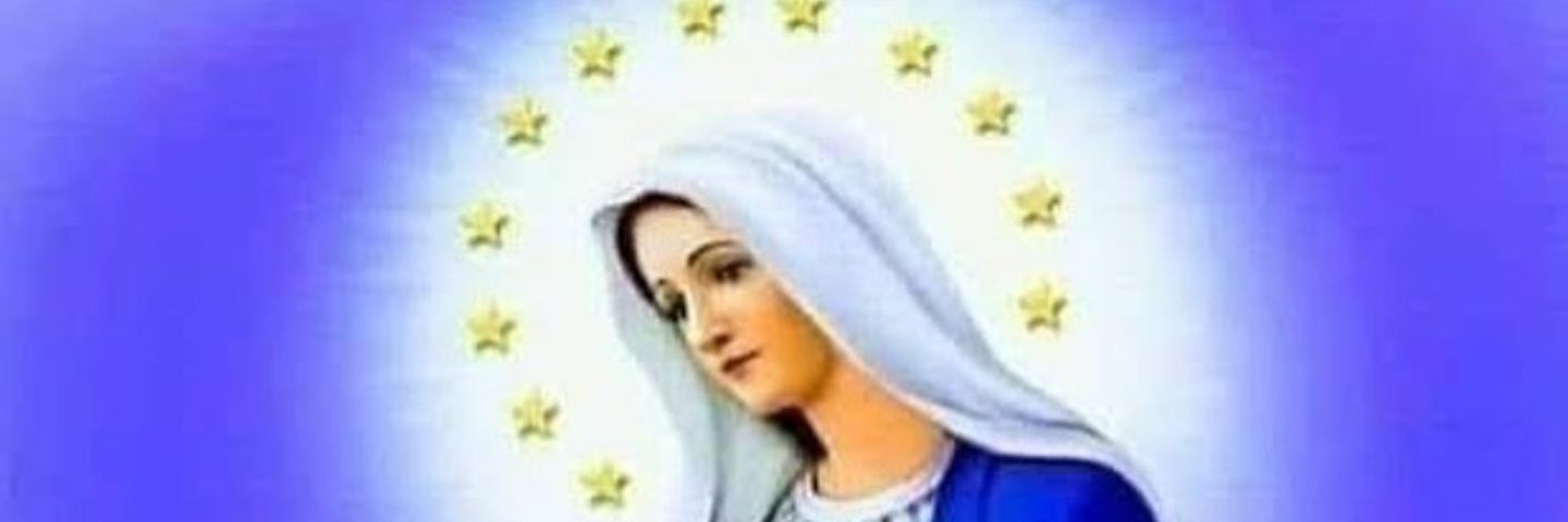 dedebaiana's profile banner image