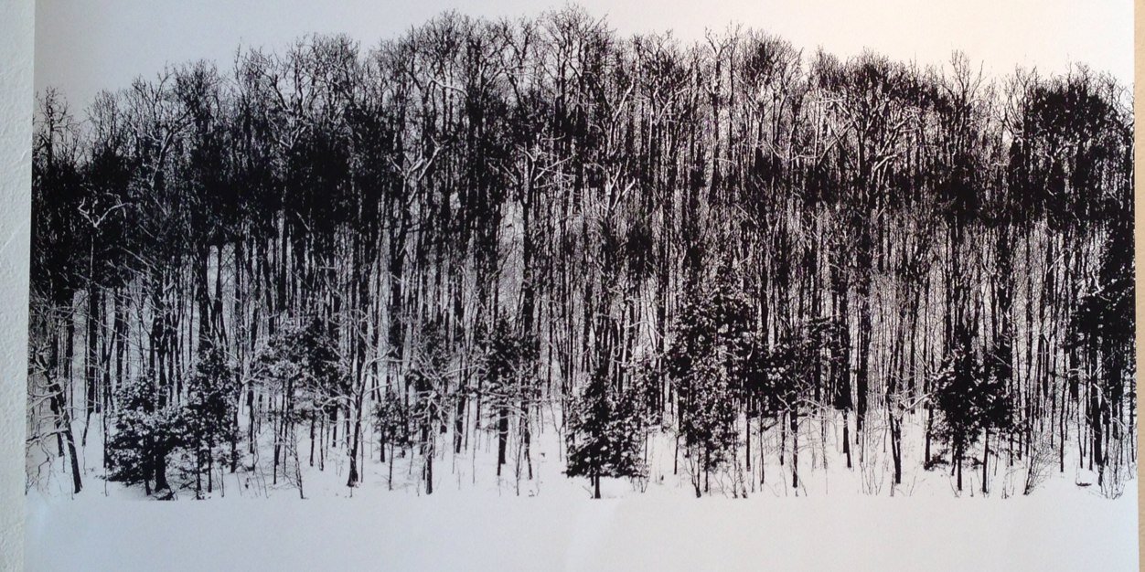 Tamara Alteresco banner