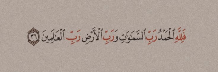 ≠ banner