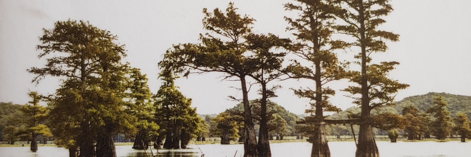 Rôle de dame banner