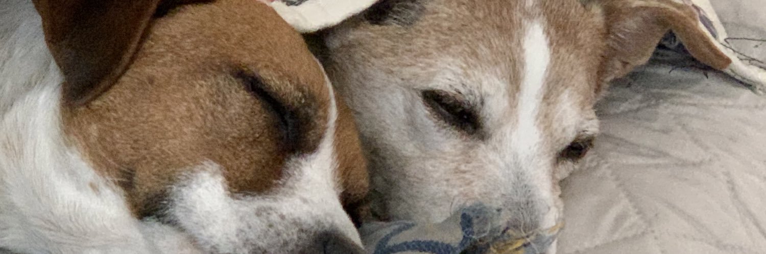 no time to cry banner