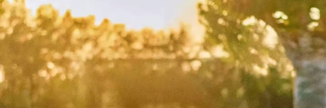 farquadwashere's profile banner image